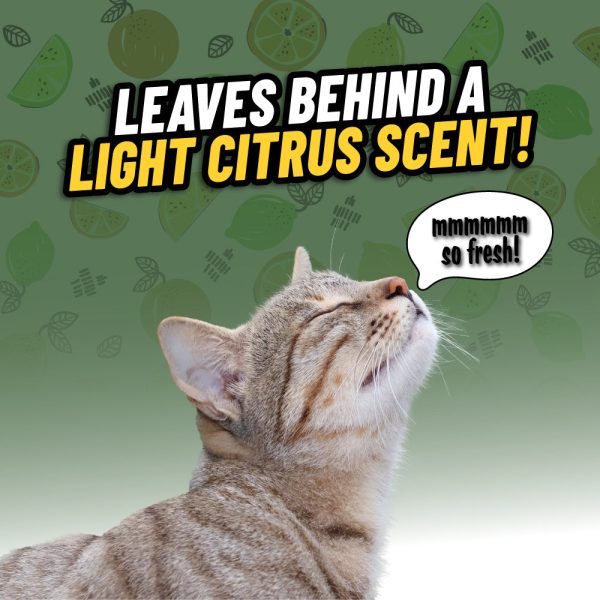 Ghosted Pet Odor Eliminator