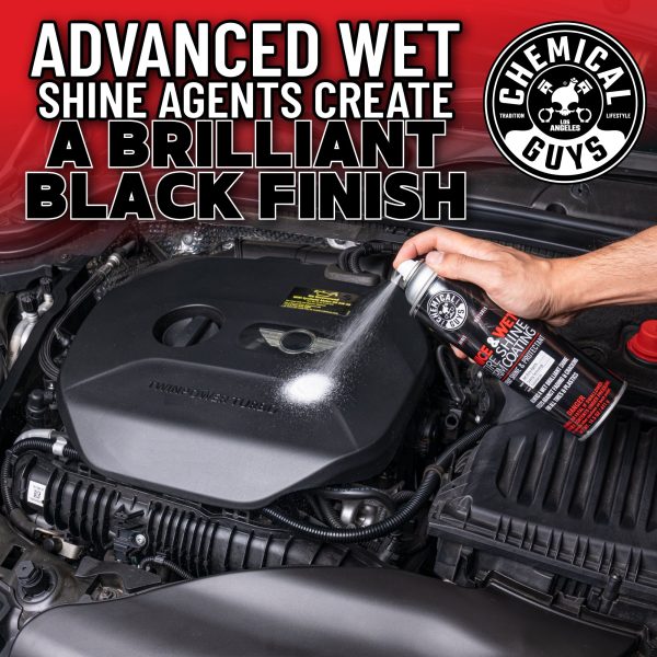 Nice and Wet Tire Shine Trim Coating Spray