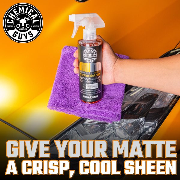 Meticulous Matte Detailer Spray & Sealant