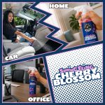 Spring Fling Cherry Blossom Air Freshener & Odor Neutralizer