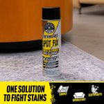 Lightning Fast Spot Fix Carpet & Fabric Spot Cleaner