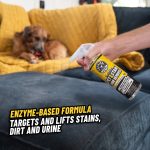 Furbidden® Pet Stain Remover